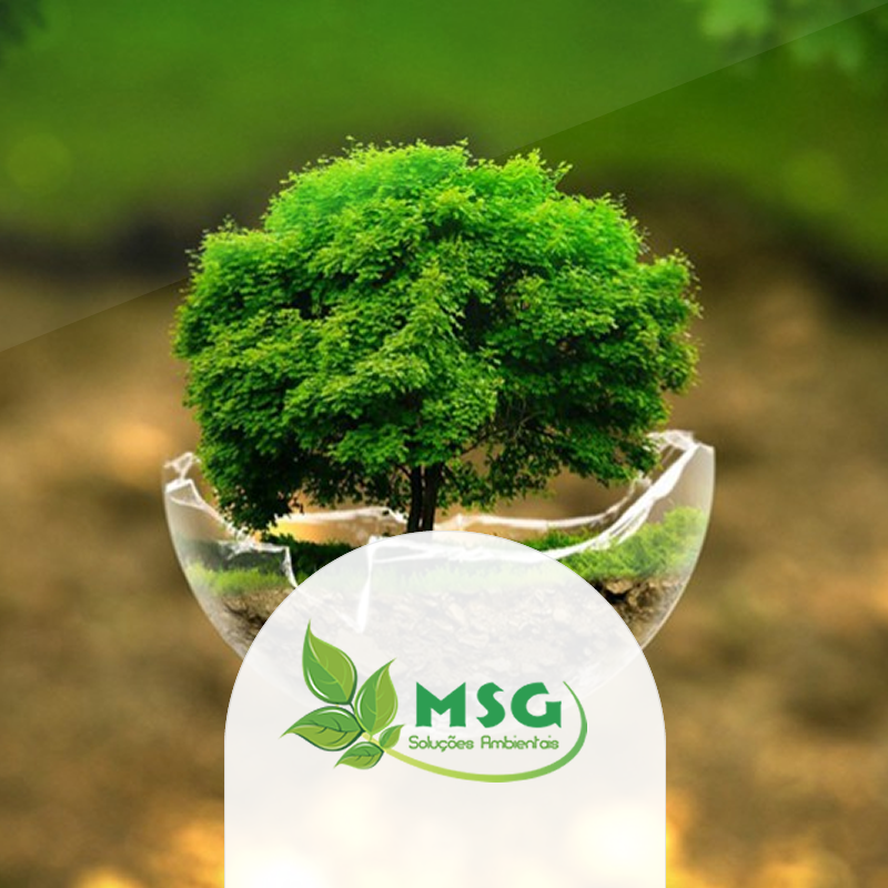 Msg Solucoes Ambientais